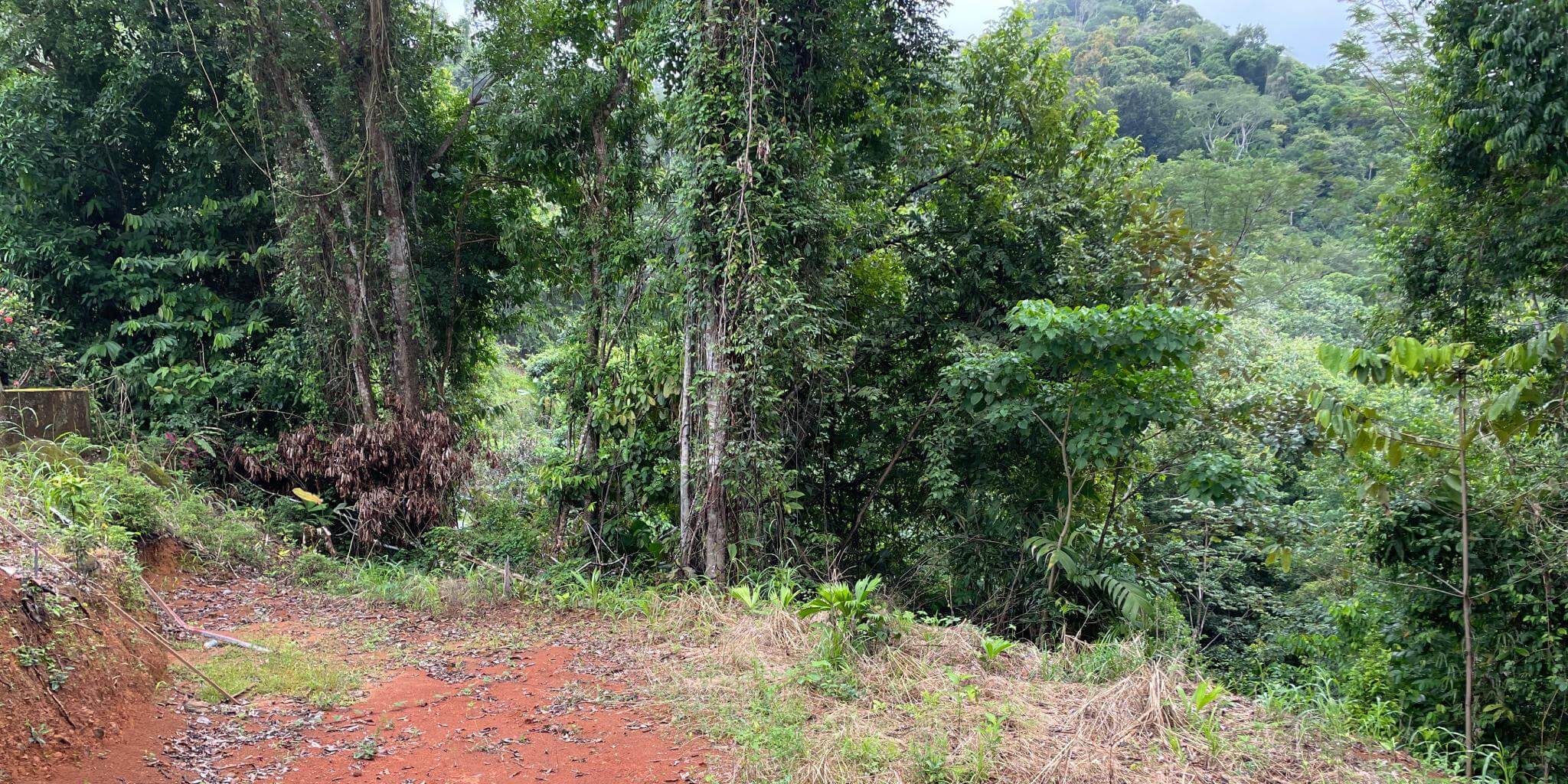 Mountain View Bargain Lot In Costa Azul, Tres Rios