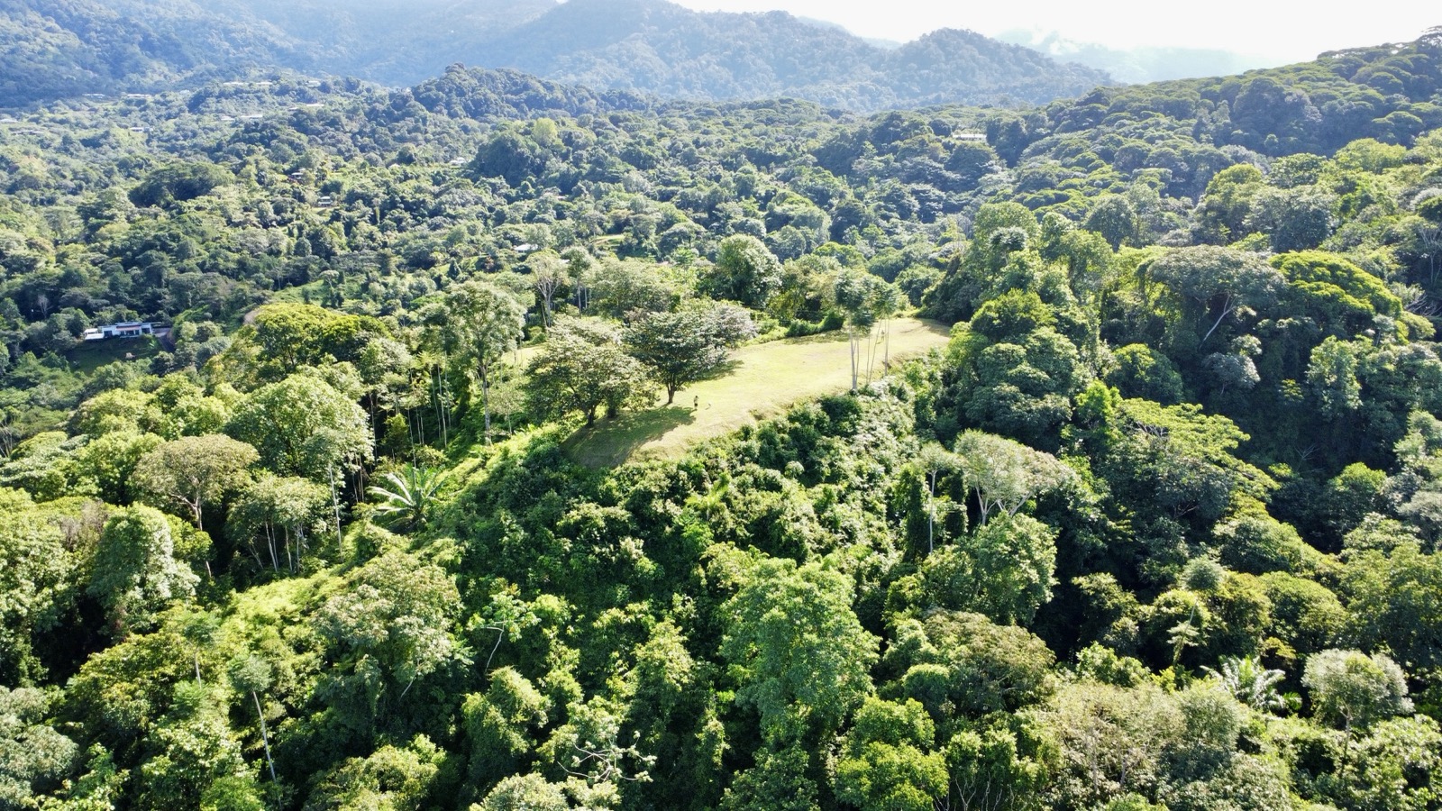 Two Ocean View Properties in Ojochal – 5.33 Acres of Pure Paradise selected