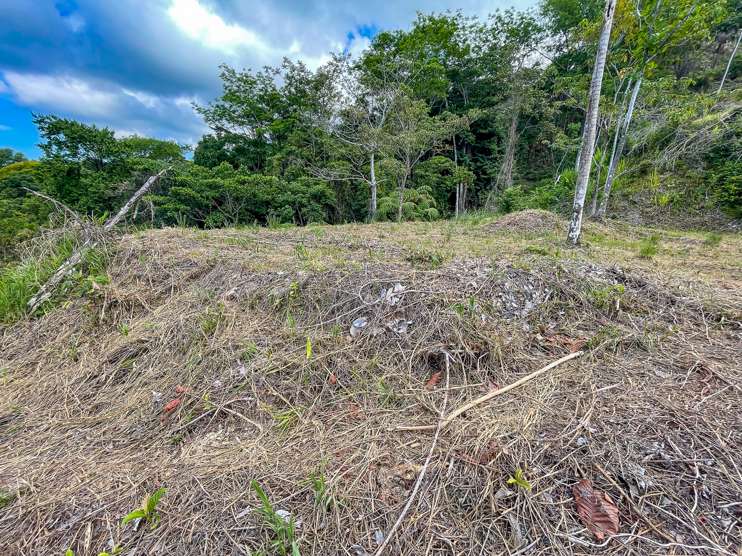 Excellent Dream Home Or Mini-Development Opportunity: 2.2-Acre Ocean View Property in Ojochal, Costa Rica selected