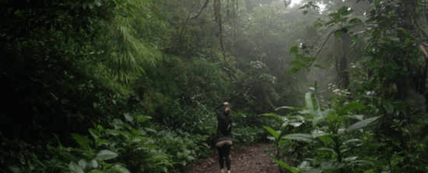 Green Living is the Big Reason to Buy Real Estate in Costa Rica Now