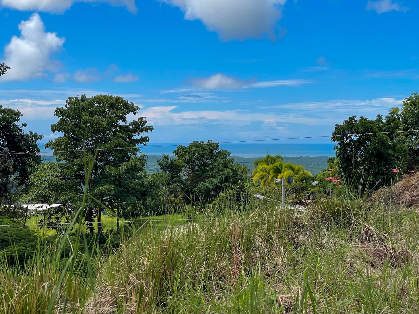 Stunning Lot for Sale in Southern Costa Rica – A Rare Opportunity! selected