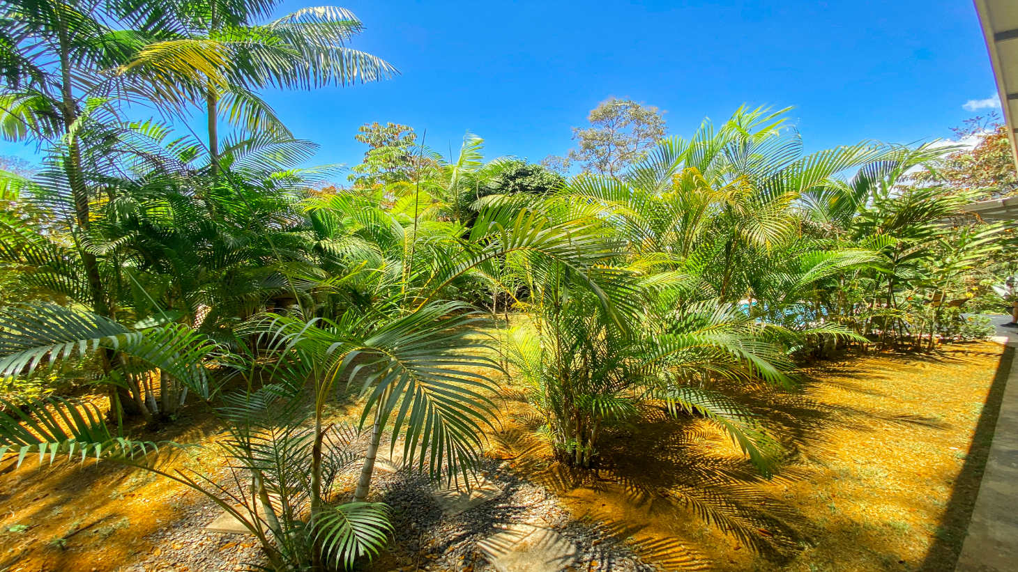 Uvita Jungle Home for Sale | Private Creek Lot Near Marino Ballena selected