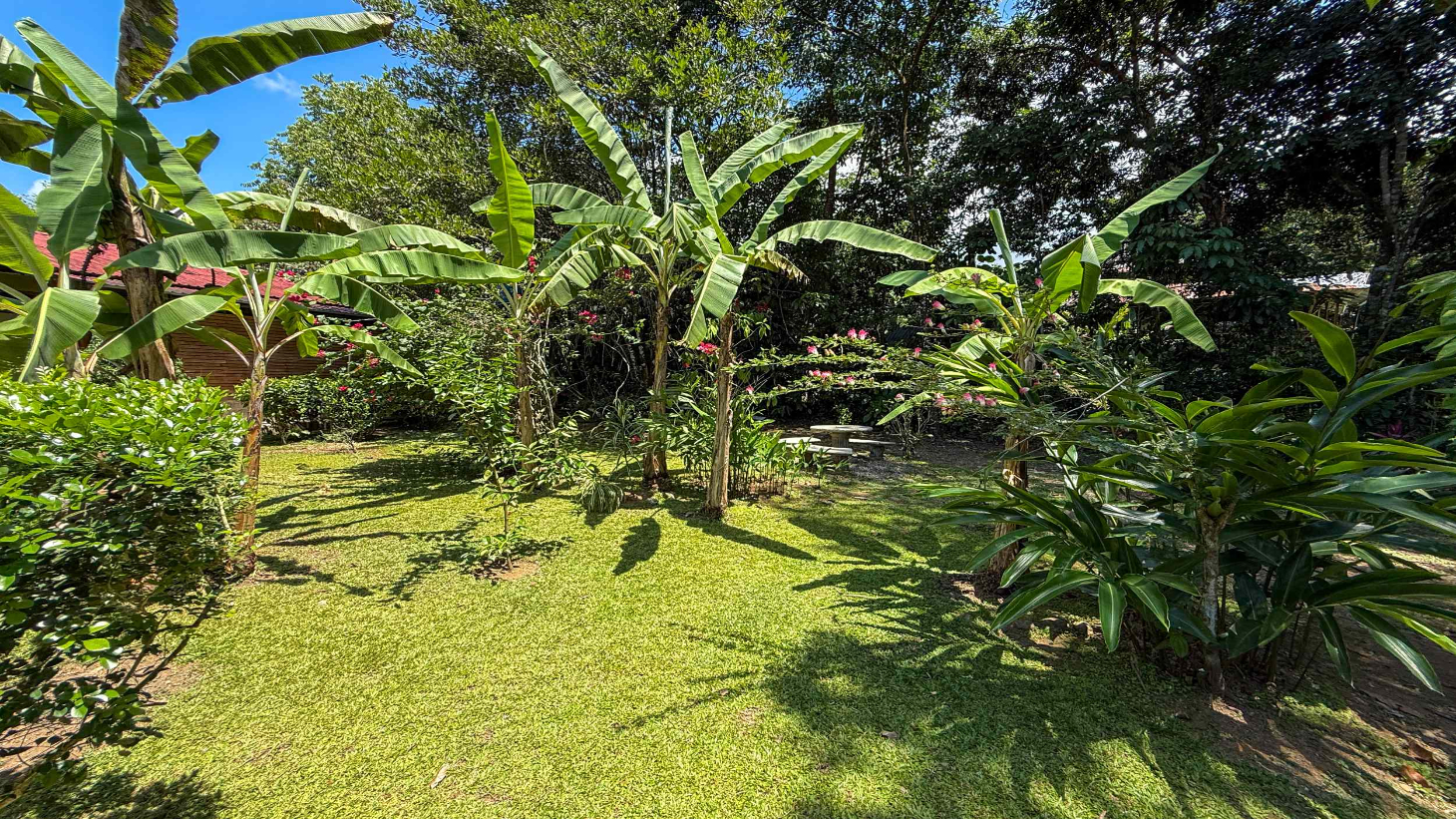 Gorgeous Jungle Hotel with 11 Beds including Owner/Manager Unit, Sparkling Pool & River Setting in Ojochal Costa Rica selected