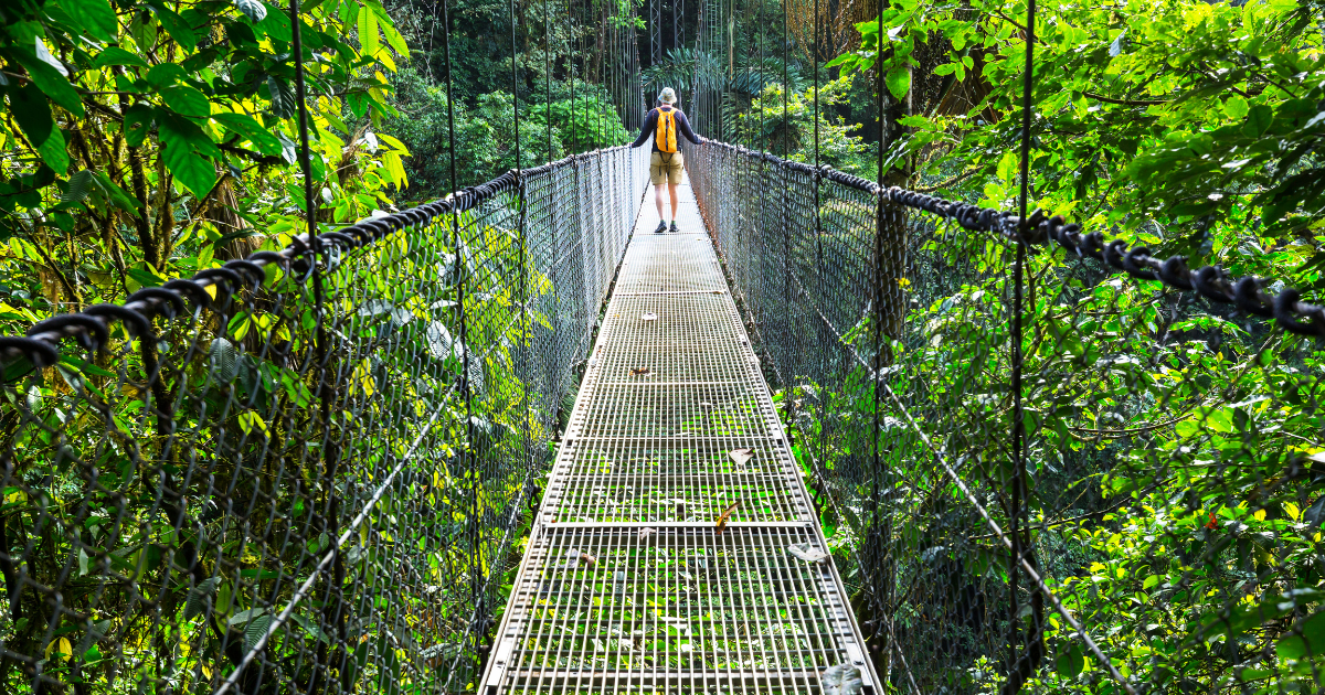 Hanging bridge in Monteverde