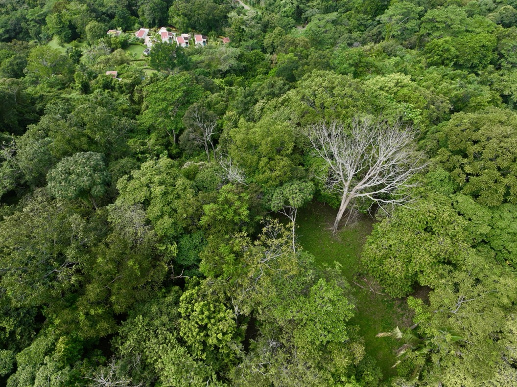 61.78 Acres of Oceanview Bliss with Private Waterfall in Tres Rios selected