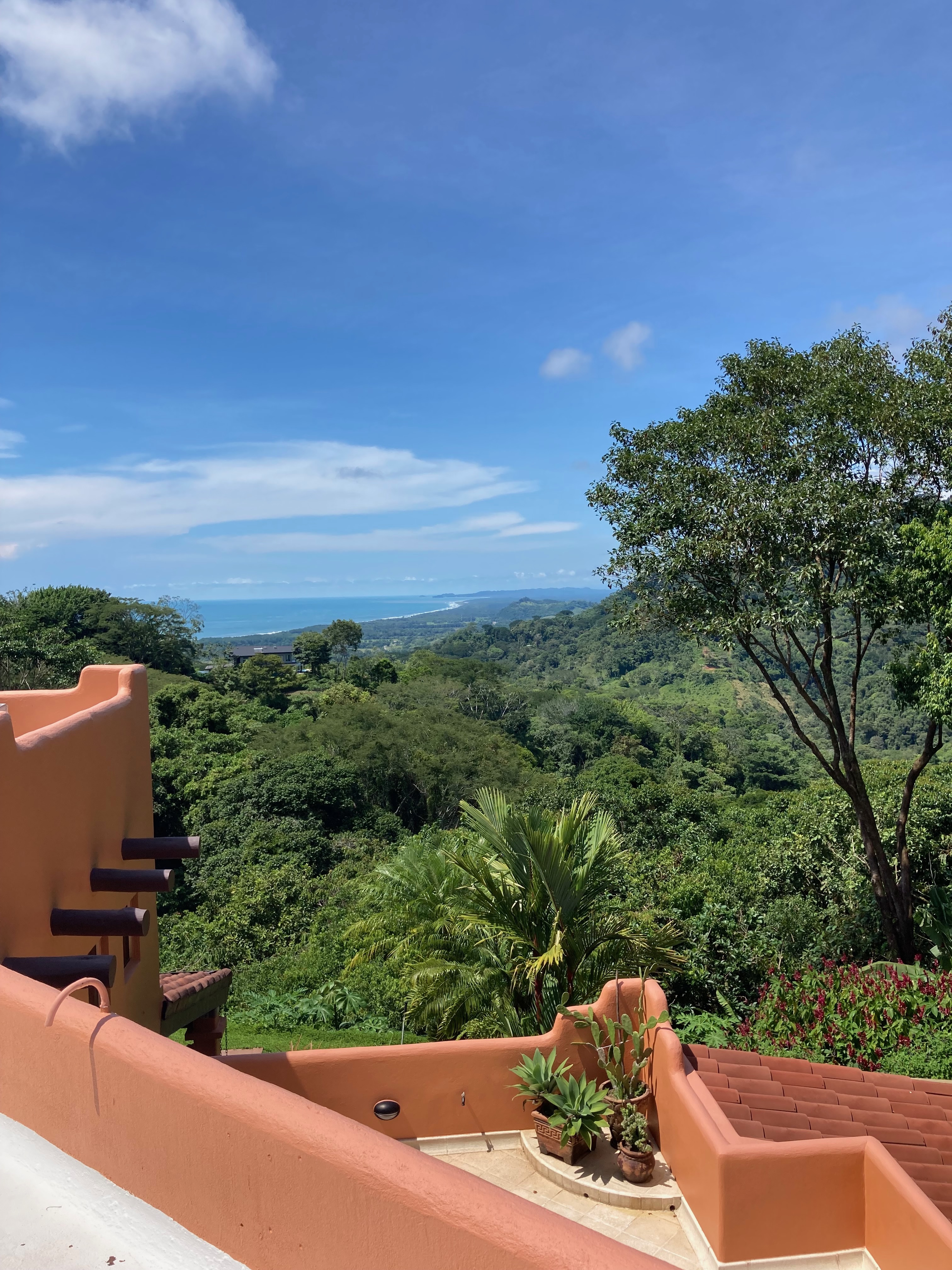 3 Bedroom Ocean View Home, Guest House, and Additional Building Site on 11.35 Acres selected