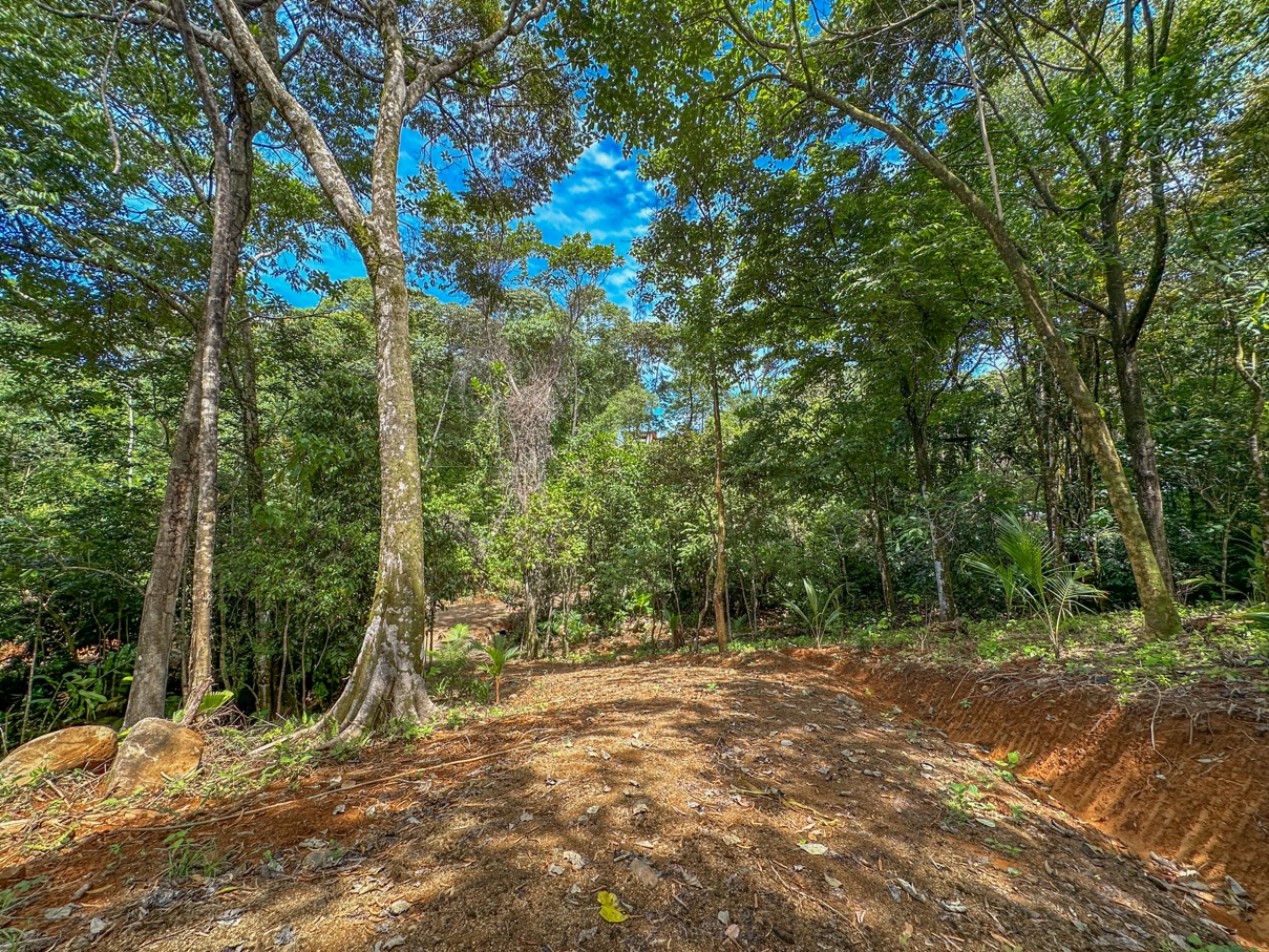 1.6 Acre Jungle and Creek Lot in Gated Community in Ojochal selected