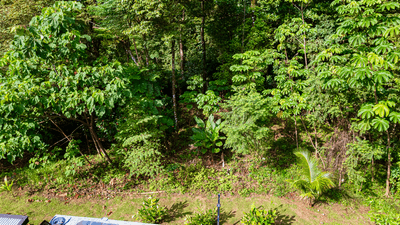 Exceptional Residential or Commercial Potential Property in Ojochal image 2