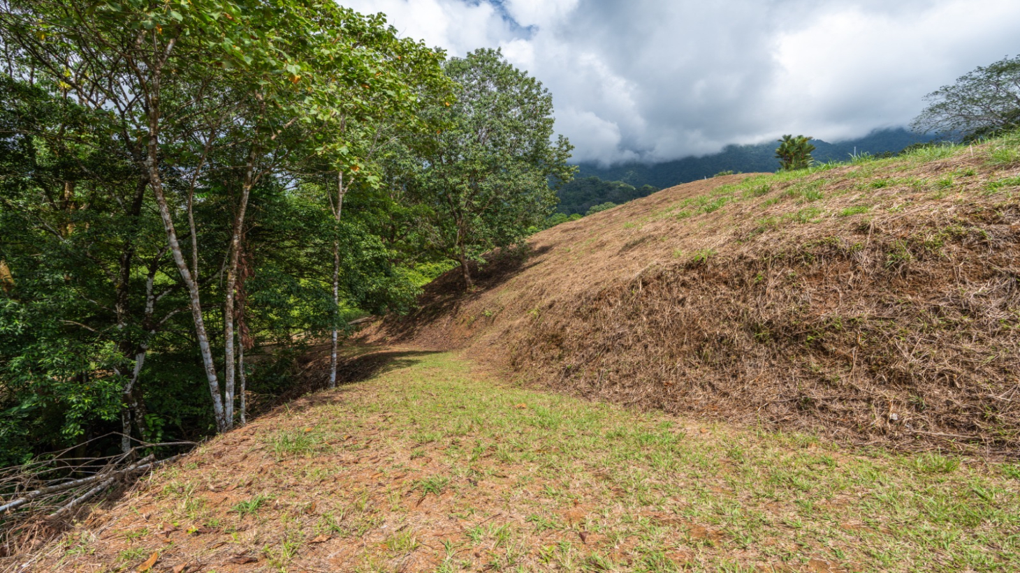 3-Acre Development Opportunity in Phase 5 Gated Community, Ojochal selected