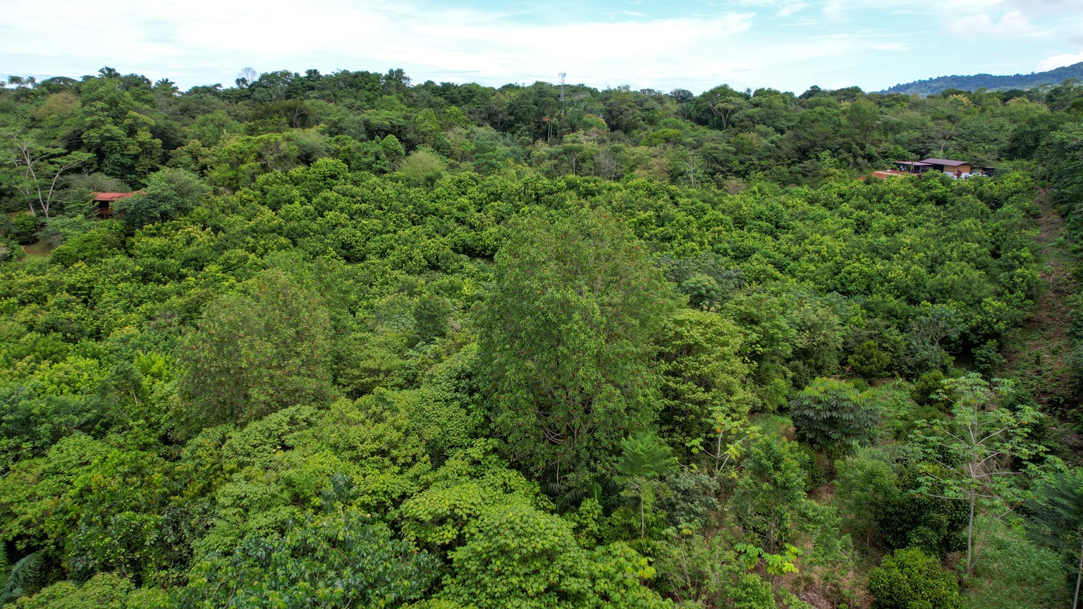 Premium 9.3-Hectare Farm for Sale in Ojochal, Costa Rica selected