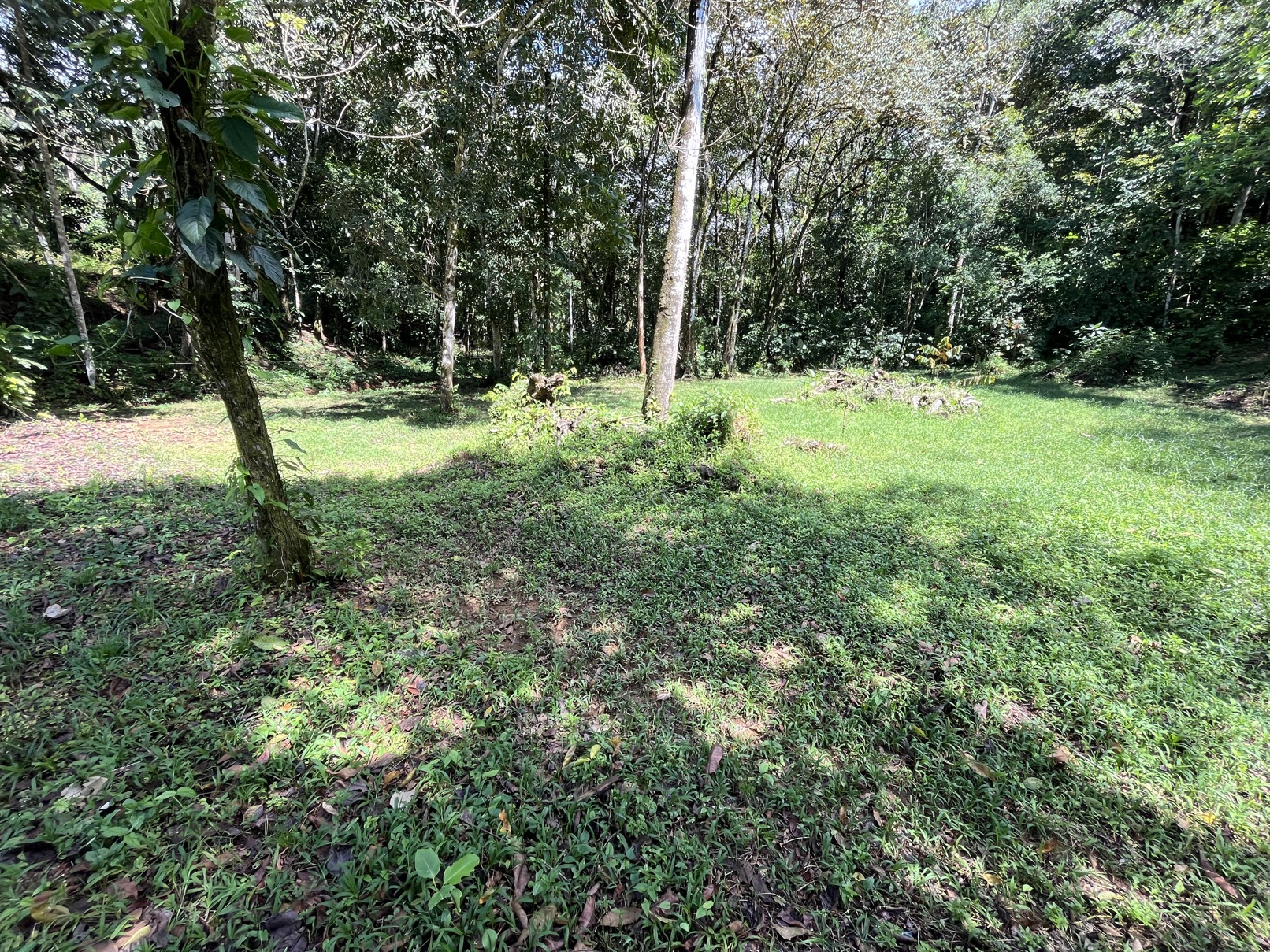 Flat Lot in Tortuga: Your Dream Project Awaits selected