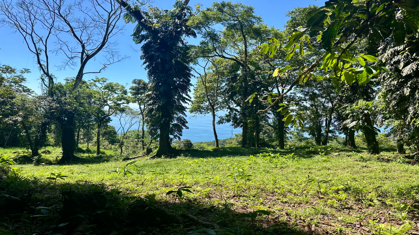 Exclusive 5.80 acres Ocean View Estate Lot in Costa Verde Estates – Escaleras selected