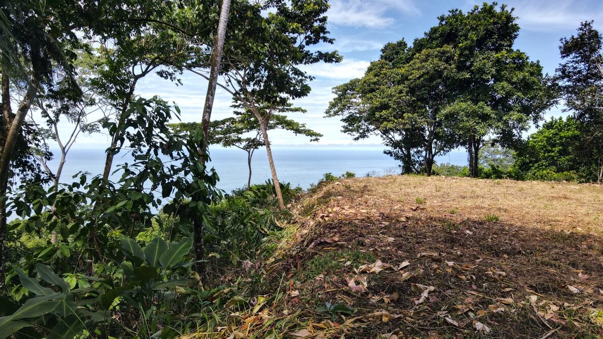 Whale's Tail and Ocean View lot for Sale in Costa Verde, Escaleras, Costa Rica selected