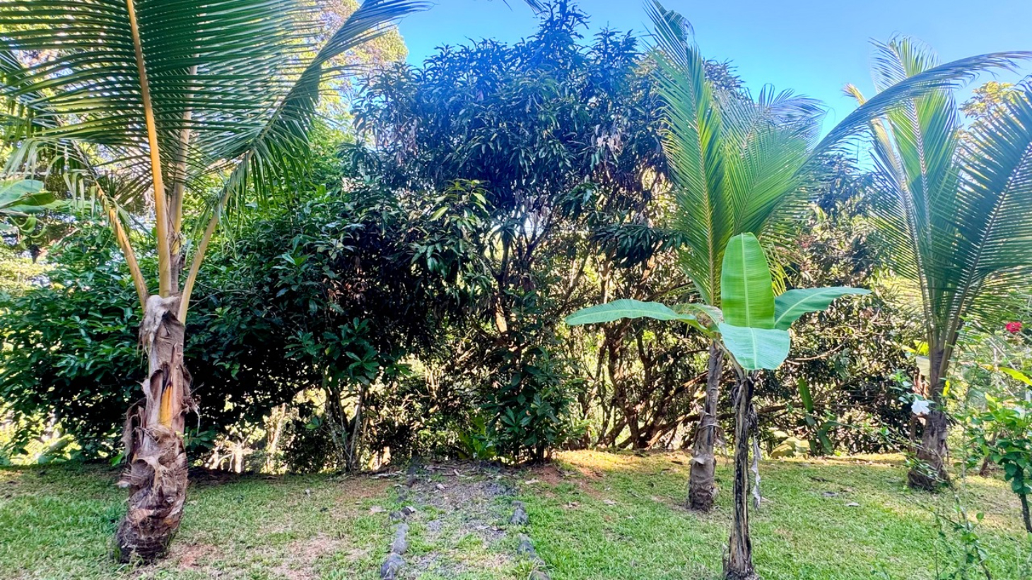 Private Dominical Retreat Main Home Guest House and Rancho selected