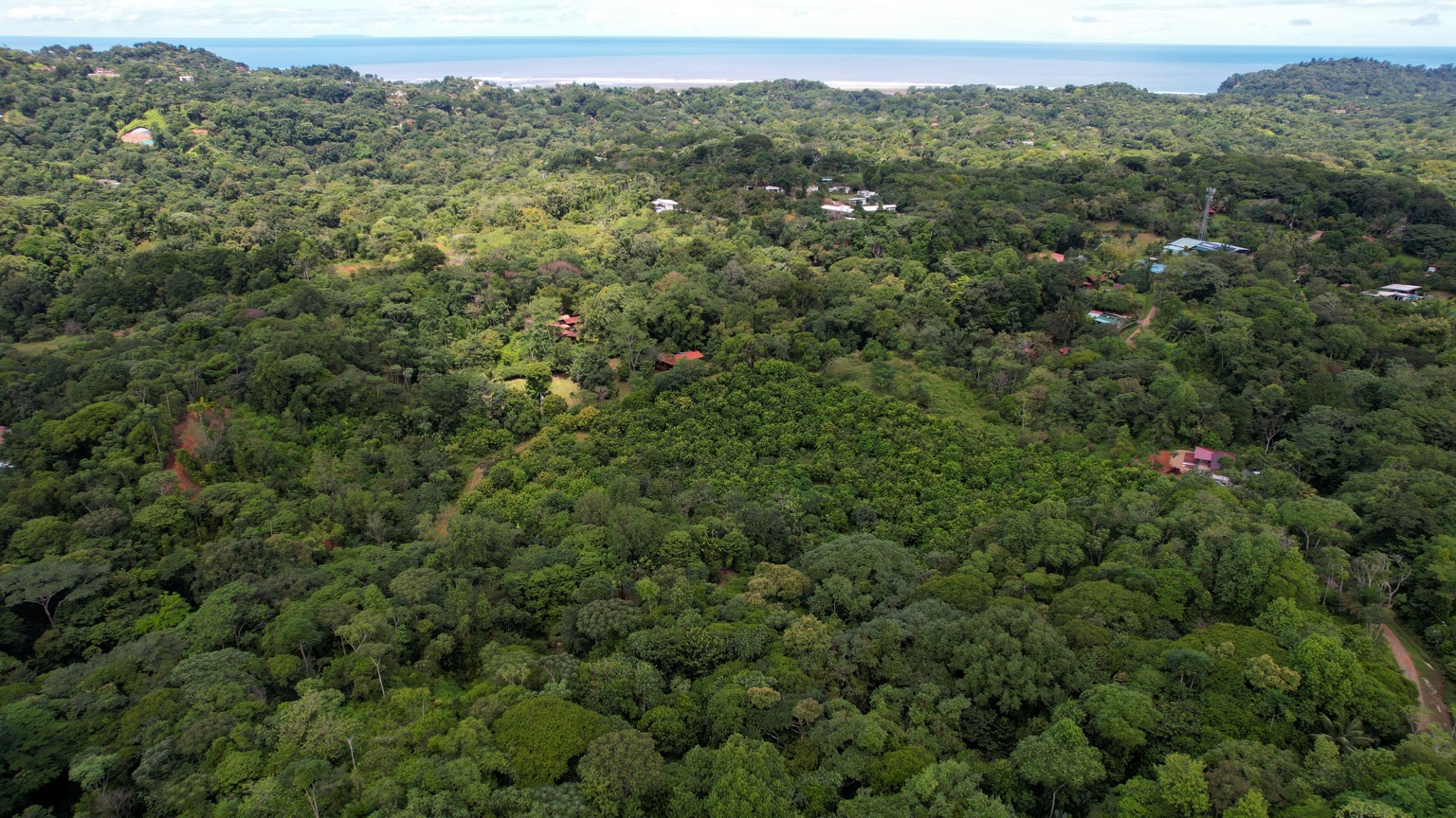 Premium 9.3-Hectare Farm for Sale in Ojochal, Costa Rica selected