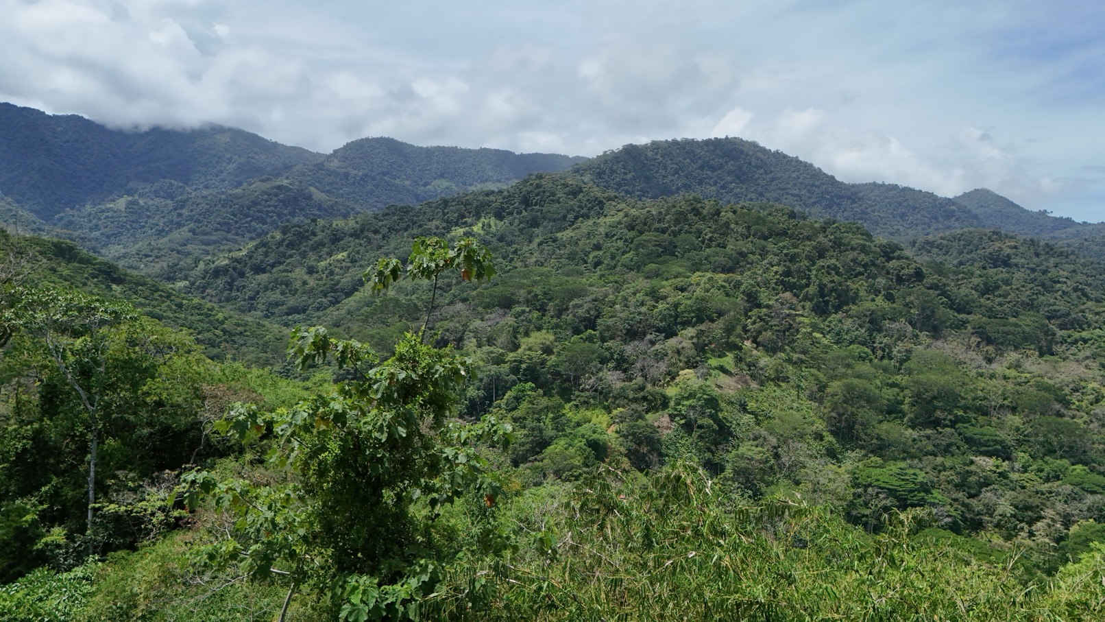 Expansive Oceanview Estate Lot in Uvita selected