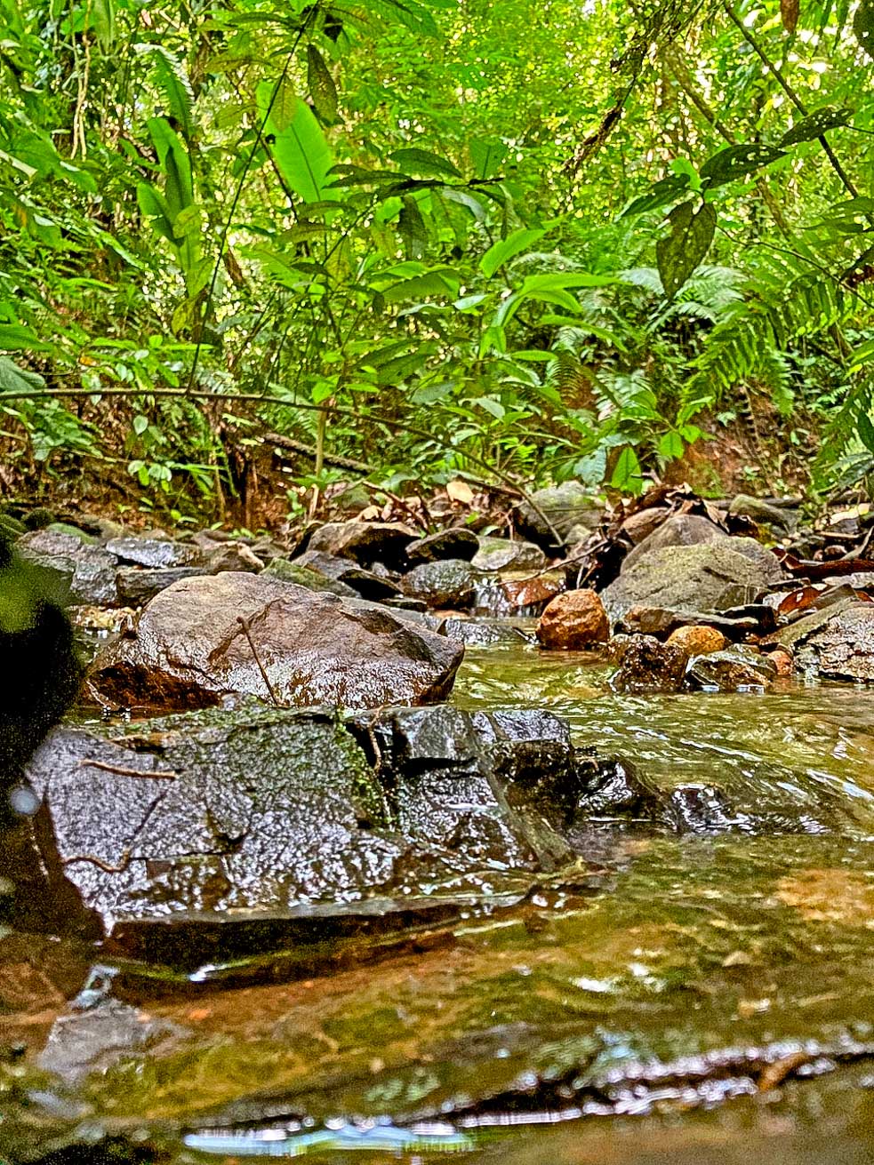 Ocean and Mountain View Retreat with Private River and Expansion Potential in Ojochal selected