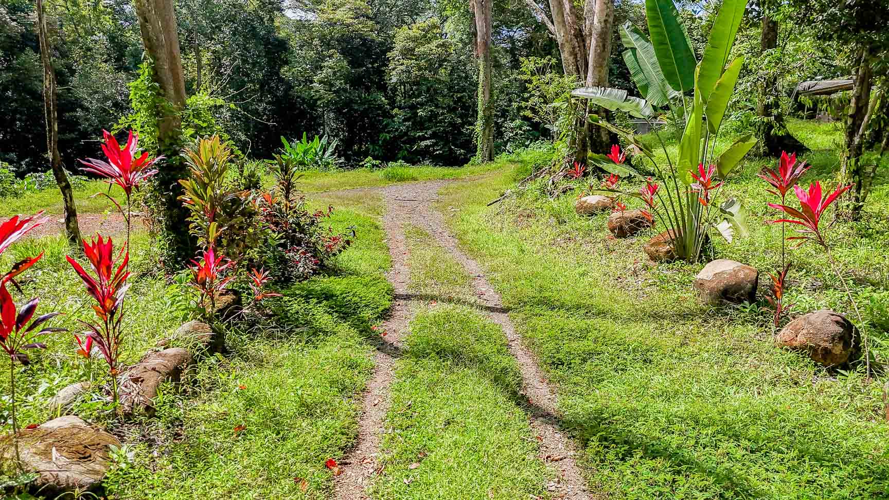 Wonderful Jungle Lot with a Crystal Mountain River Border in Ojochal selected