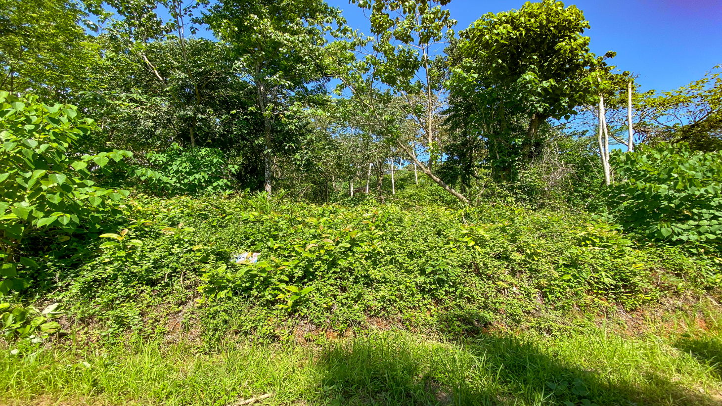 5.75 Acre Land for Sale in Ojochal | Ocean View Development Property selected