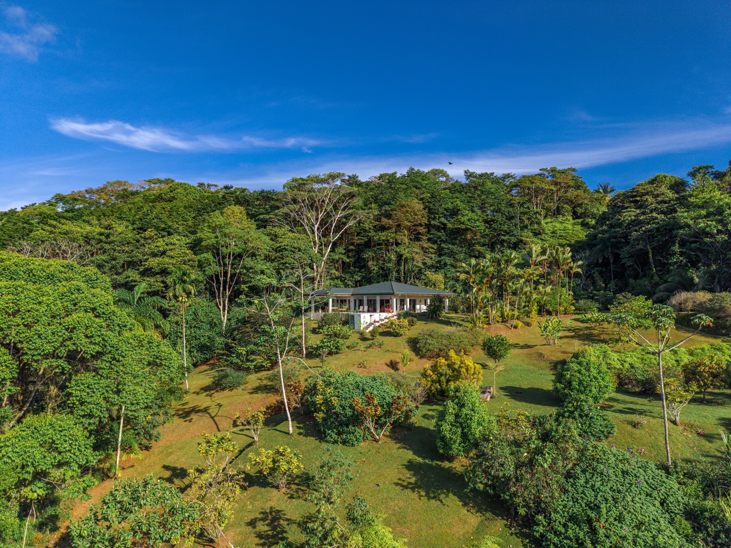 Ultra-Private Luxury Estate with Whale’s Tail View in Gated Community  selected