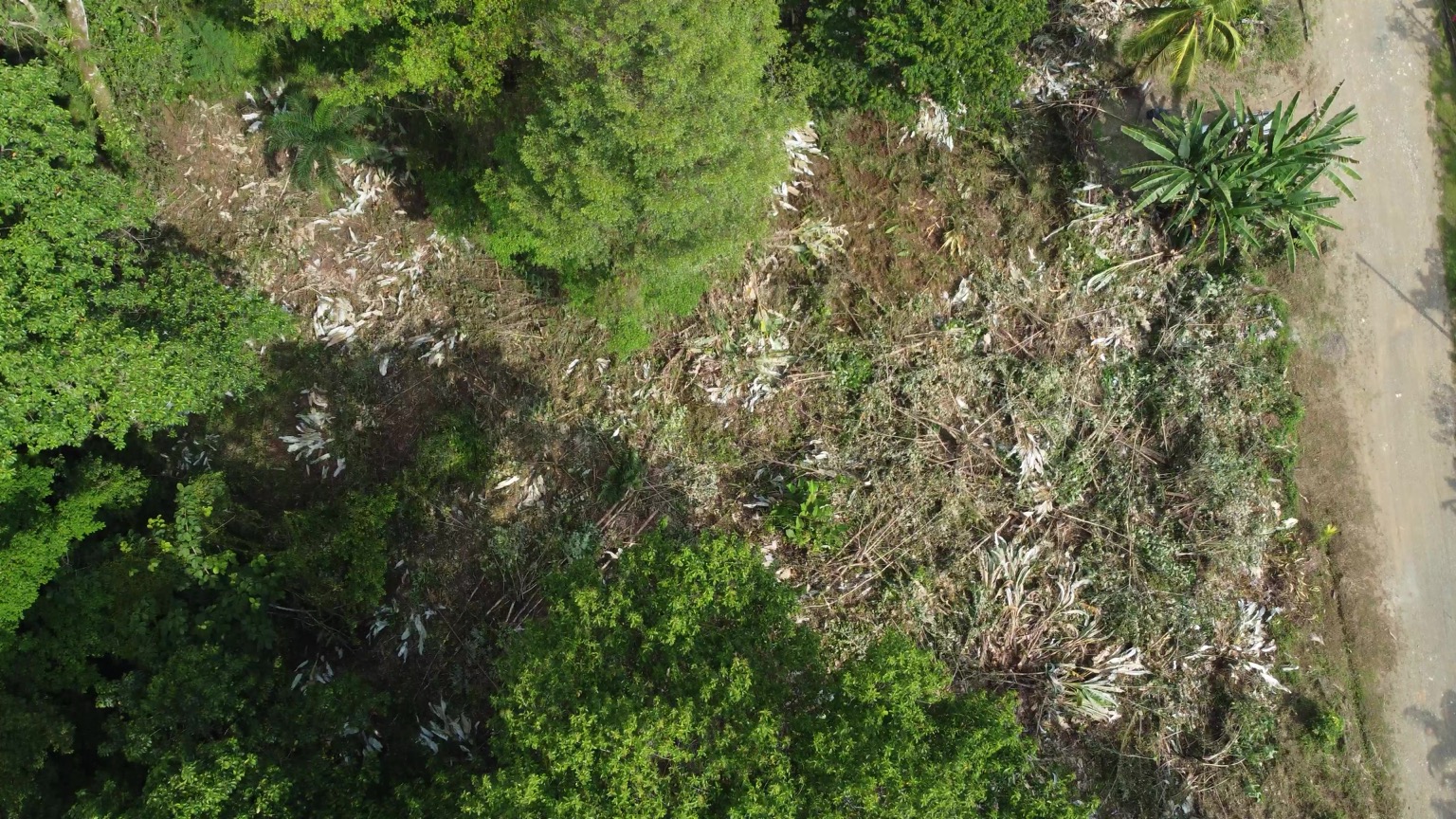 1-Acre Ready-to-Build Jungle Lot in Ojochal – A Private Oasis in Phase 8 selected