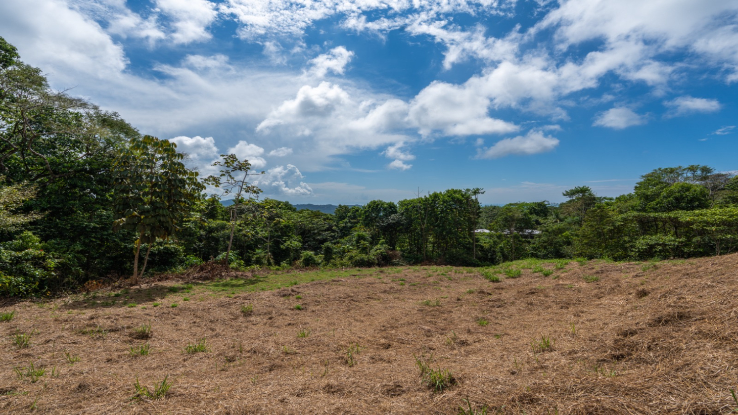 3-Acre Development Opportunity in Phase 5 Gated Community, Ojochal selected