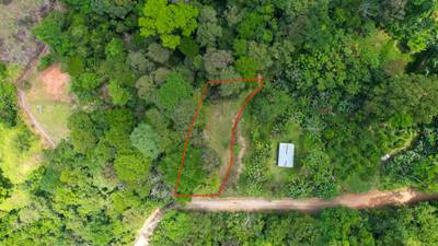 Land for Sale Near Ojochal, Costa Rica – Lot with Water & Electricity Near El Pavón Waterfall image 2