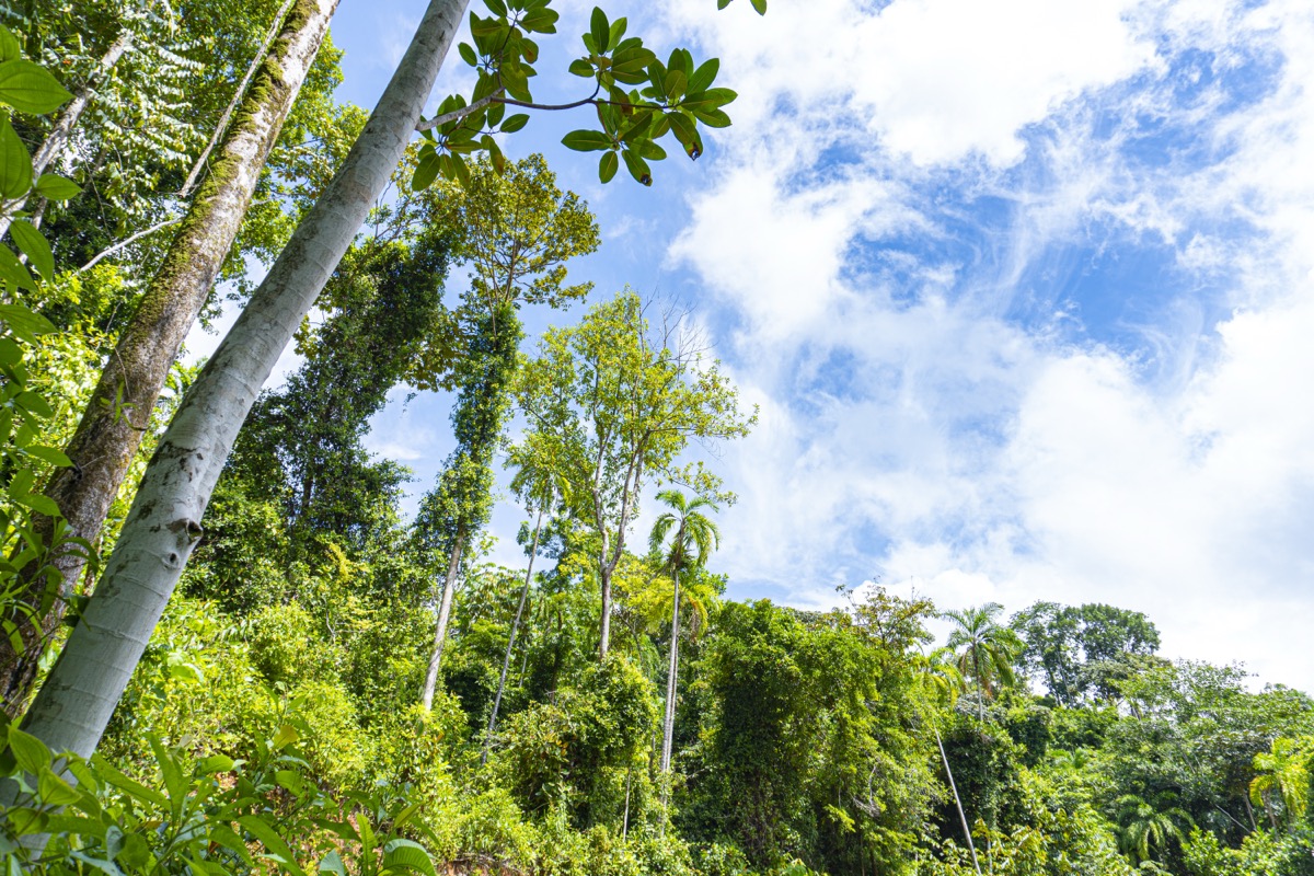 1.5 Acres with Mountain in San Buenas selected