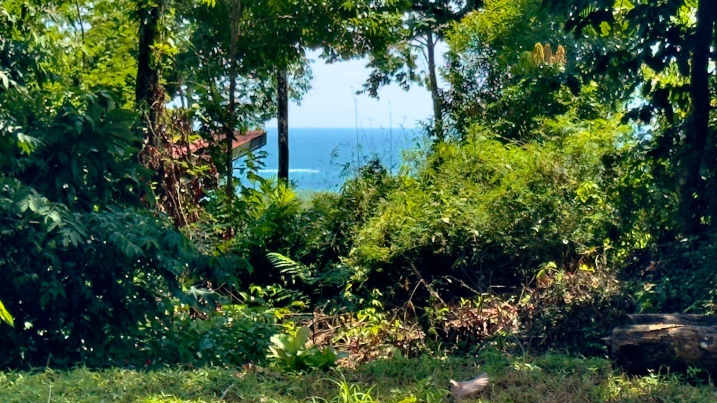 Tropical Sanctuary Above Uvita: 5-Acre Jungle Estate with incredible Mountain Views selected