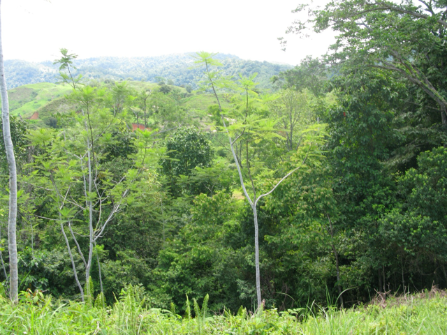 Exclusive Two-Lot Oasis in Gated Paradise – Build Your Dream Estate selected