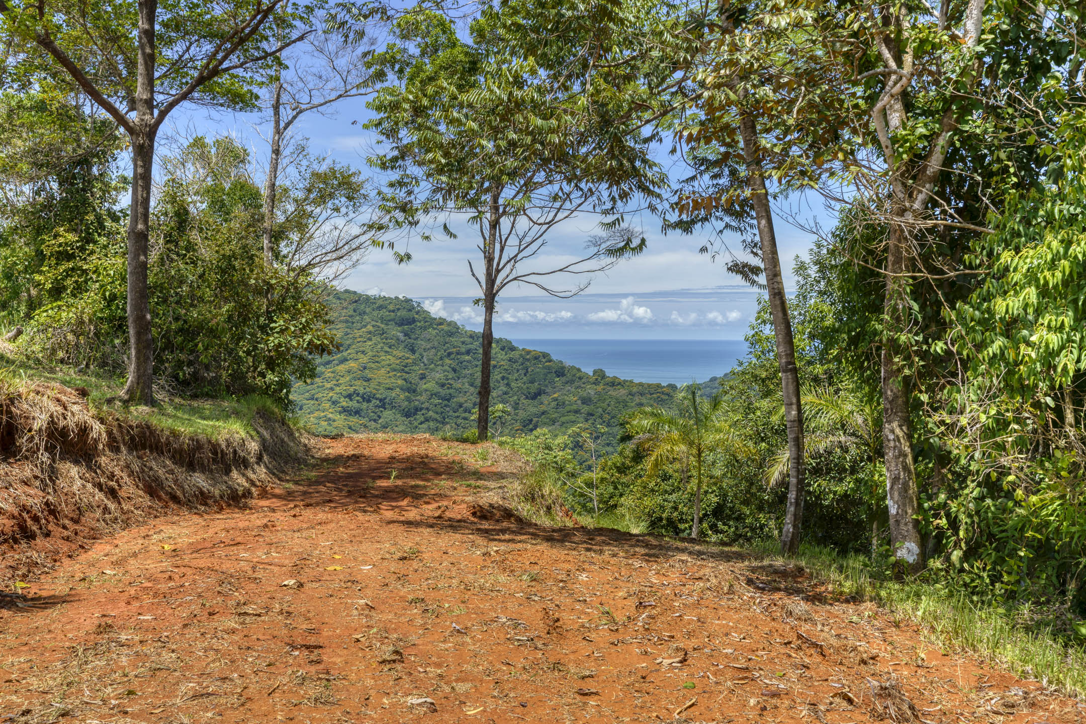 26 Acres With Ocean, Mountain & Waterfall View In Platanillo selected
