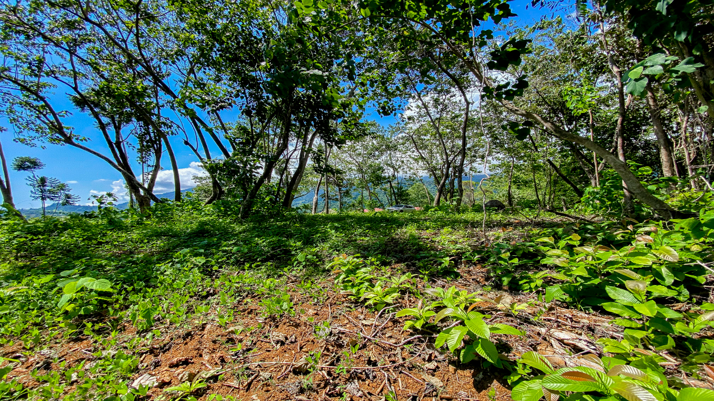 5.75 Acre Land for Sale in Ojochal | Ocean View Development Property selected