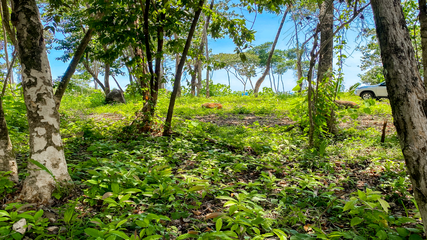 5.75 Acre Land for Sale in Ojochal | Ocean View Development Property selected