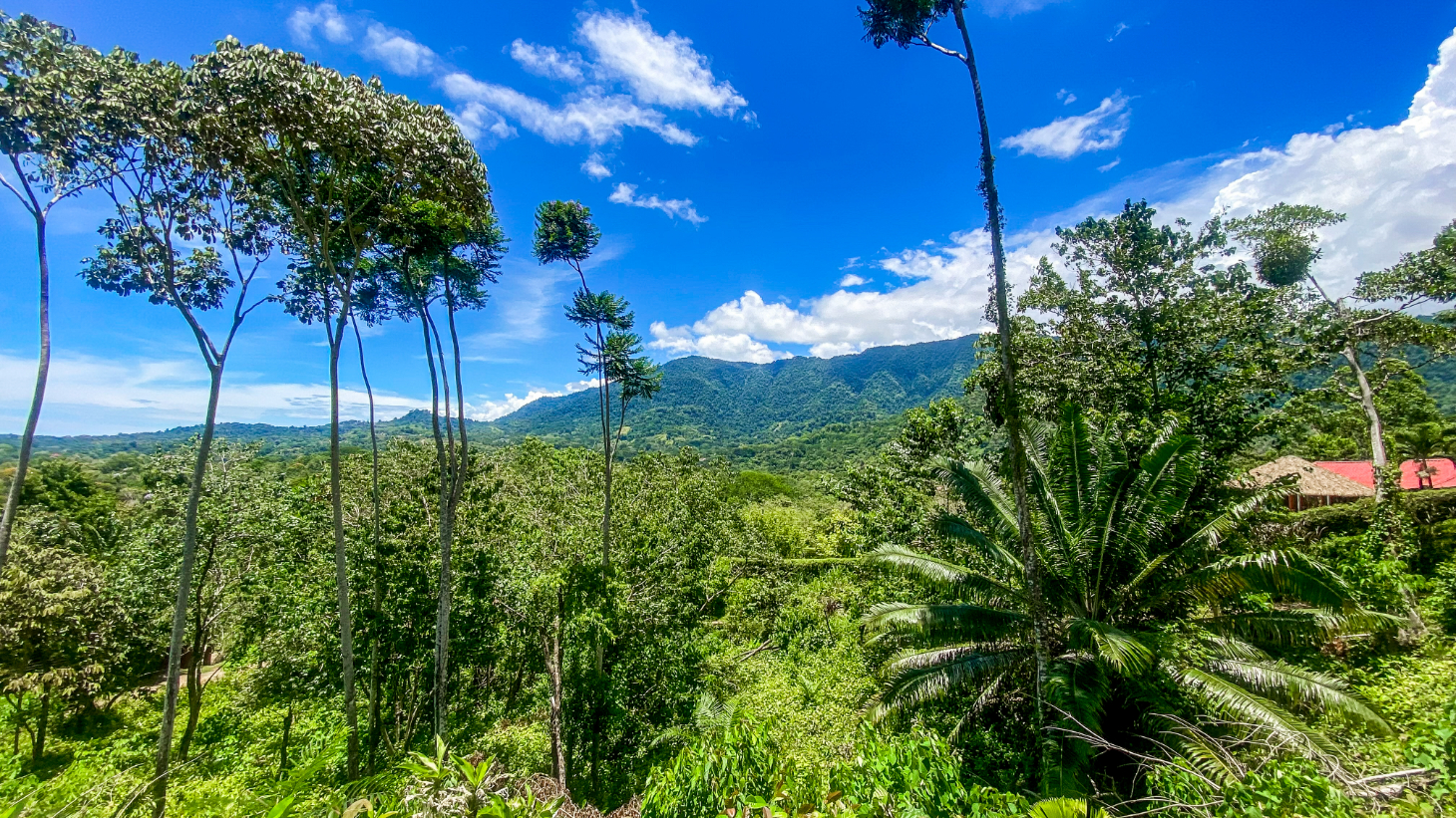 5.75 Acre Land for Sale in Ojochal | Ocean View Development Property selected