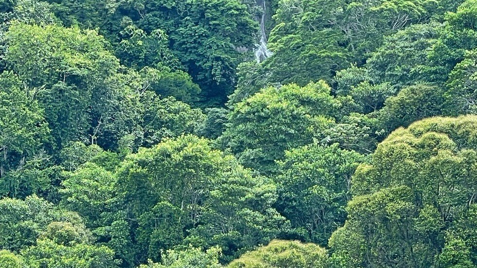 145 Acres With Swimming Holes, Waterfalls And Ocean Views selected