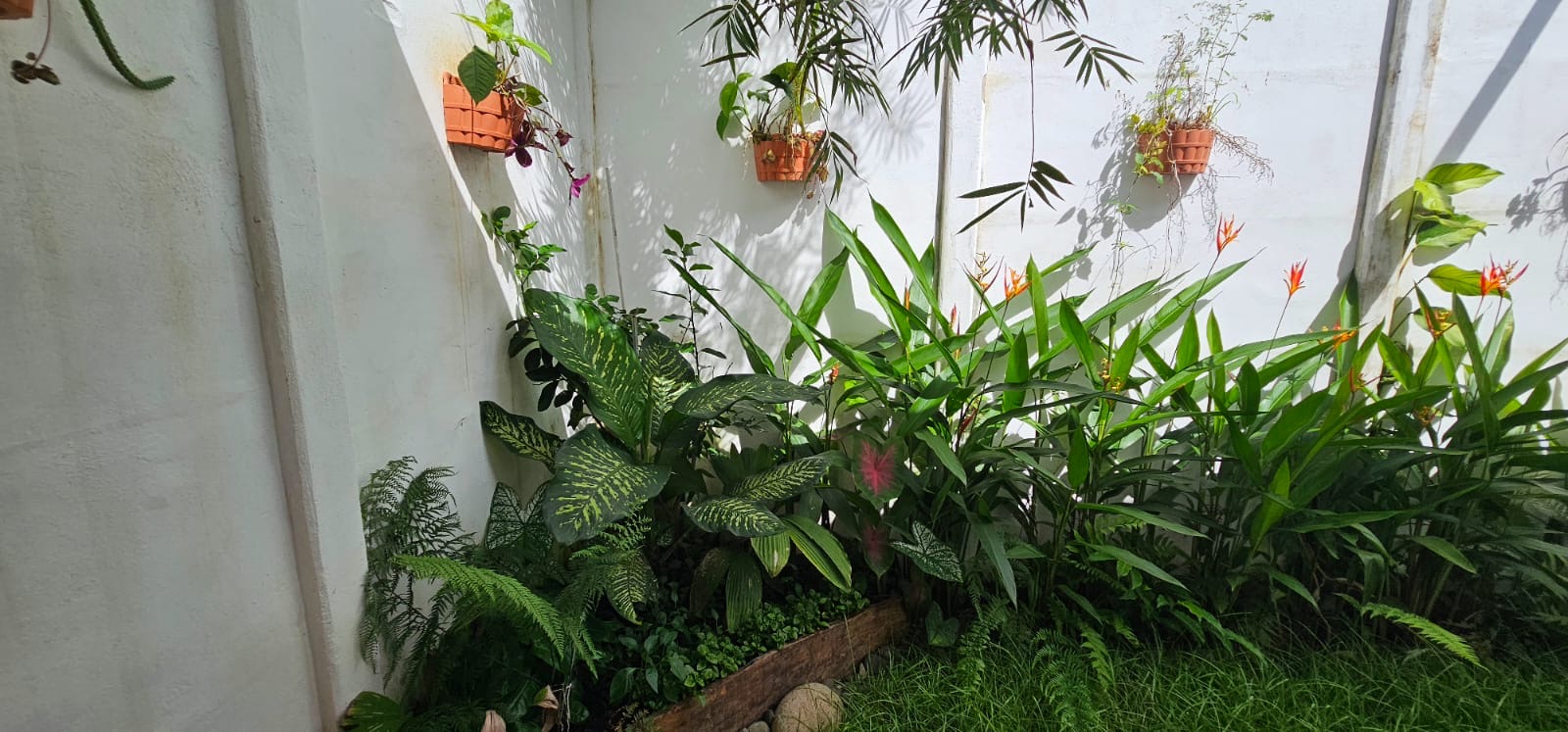 Exceptional Investment Opportunity in the Heart of Uvita selected
