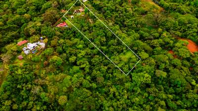 Iconic Ocean View Estate in Ojochal with 2 Guest Houses image 5