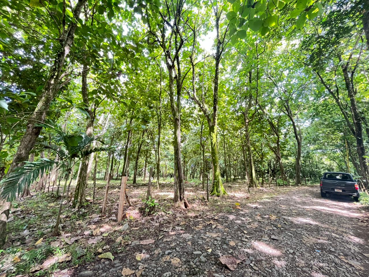 Prime 0.37-Acre Build-Ready Lot Steps from Marino Ballena National Park in Uvita selected