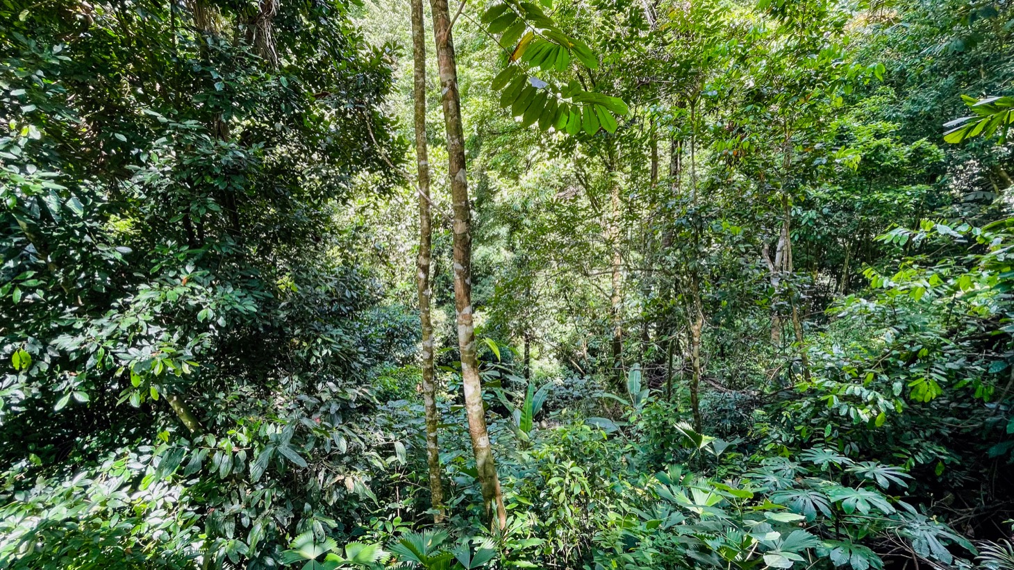 Nature Retreat Estate – Southern Pacific Zone, Costa Rica selected