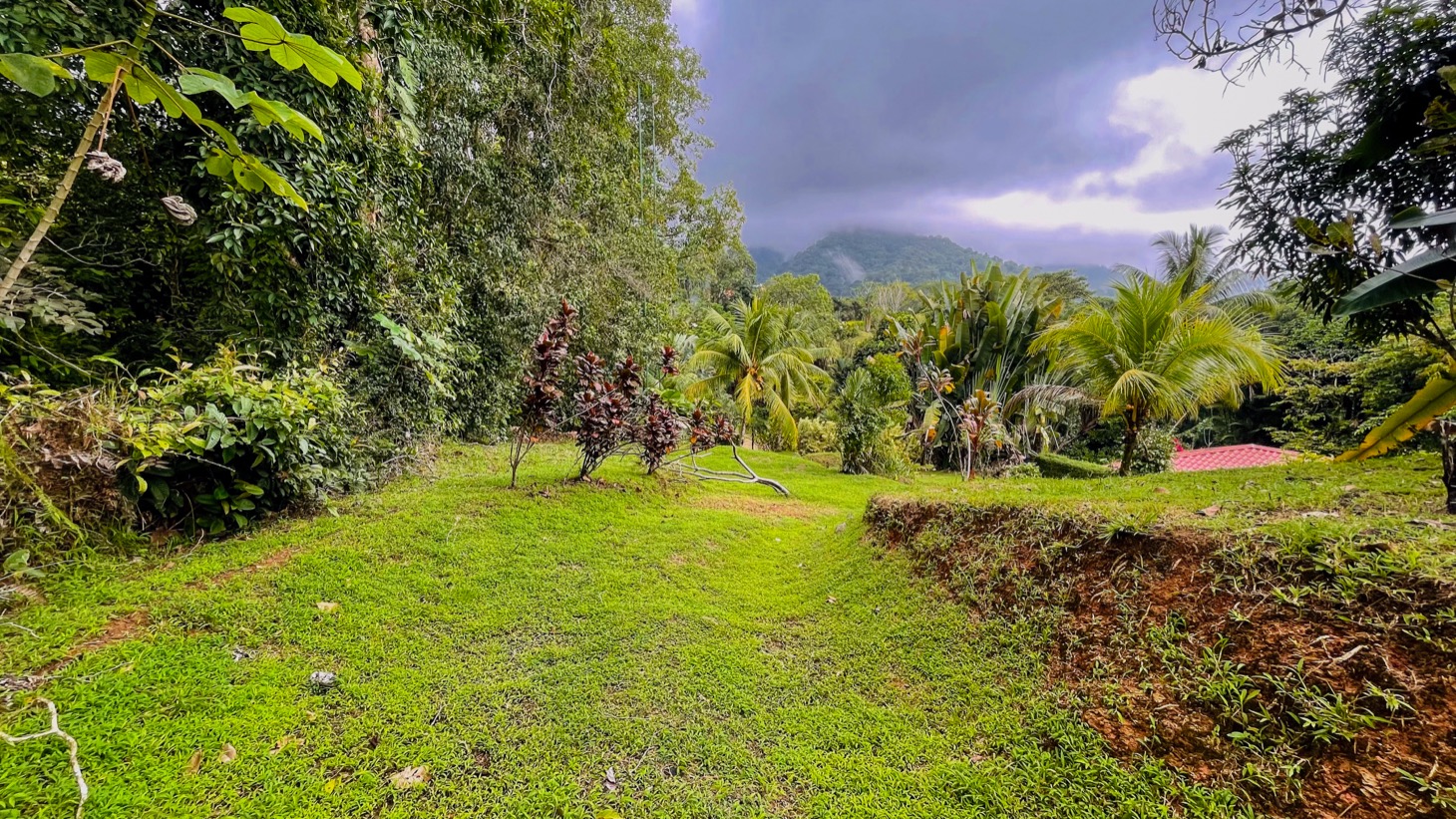 Two Homes on 1.55 Acres with Ocean & Mountain Views – Plus Room to Build! selected