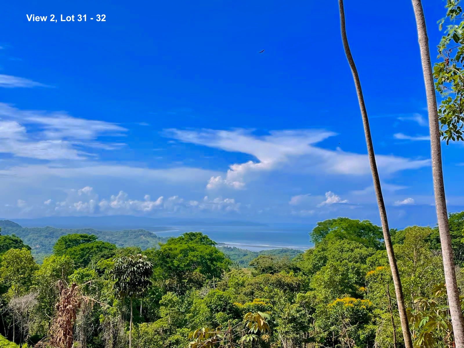 Lots at Caracara Ridge Development in Ojochal selected