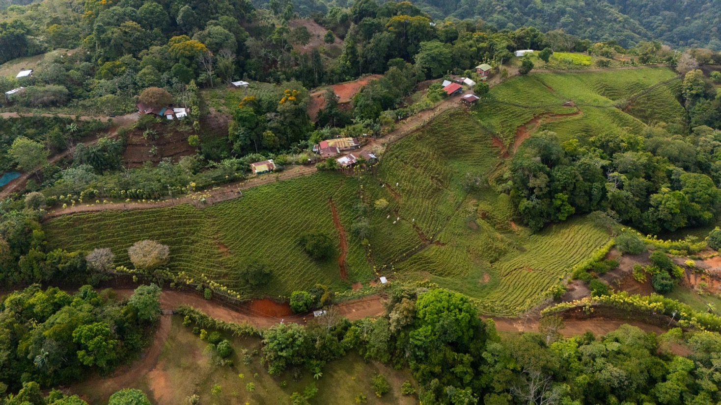 Ocean View Development Property with Waterfall Vista — 14.83 Acres in San Luis de Morete, Near Uvita selected