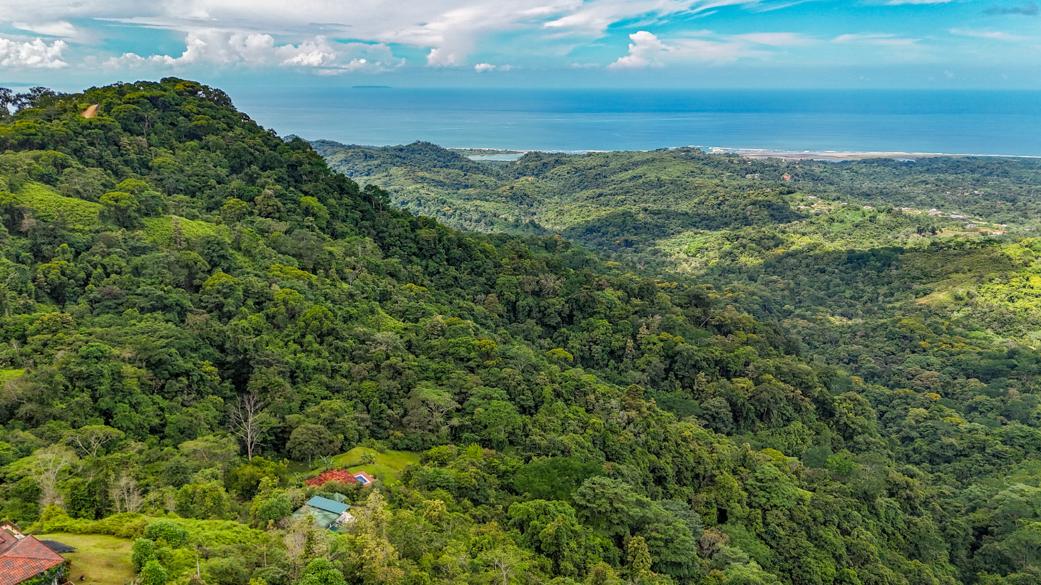 3-Bed Ocean View Home Near Ojochal, Costa Rica | 2.75 Acre Jungle Property selected