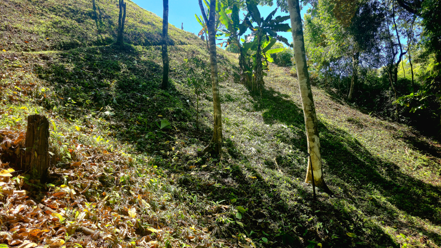 Ocean View Property with River & Waterfall Access – Tres Ríos de Osa selected