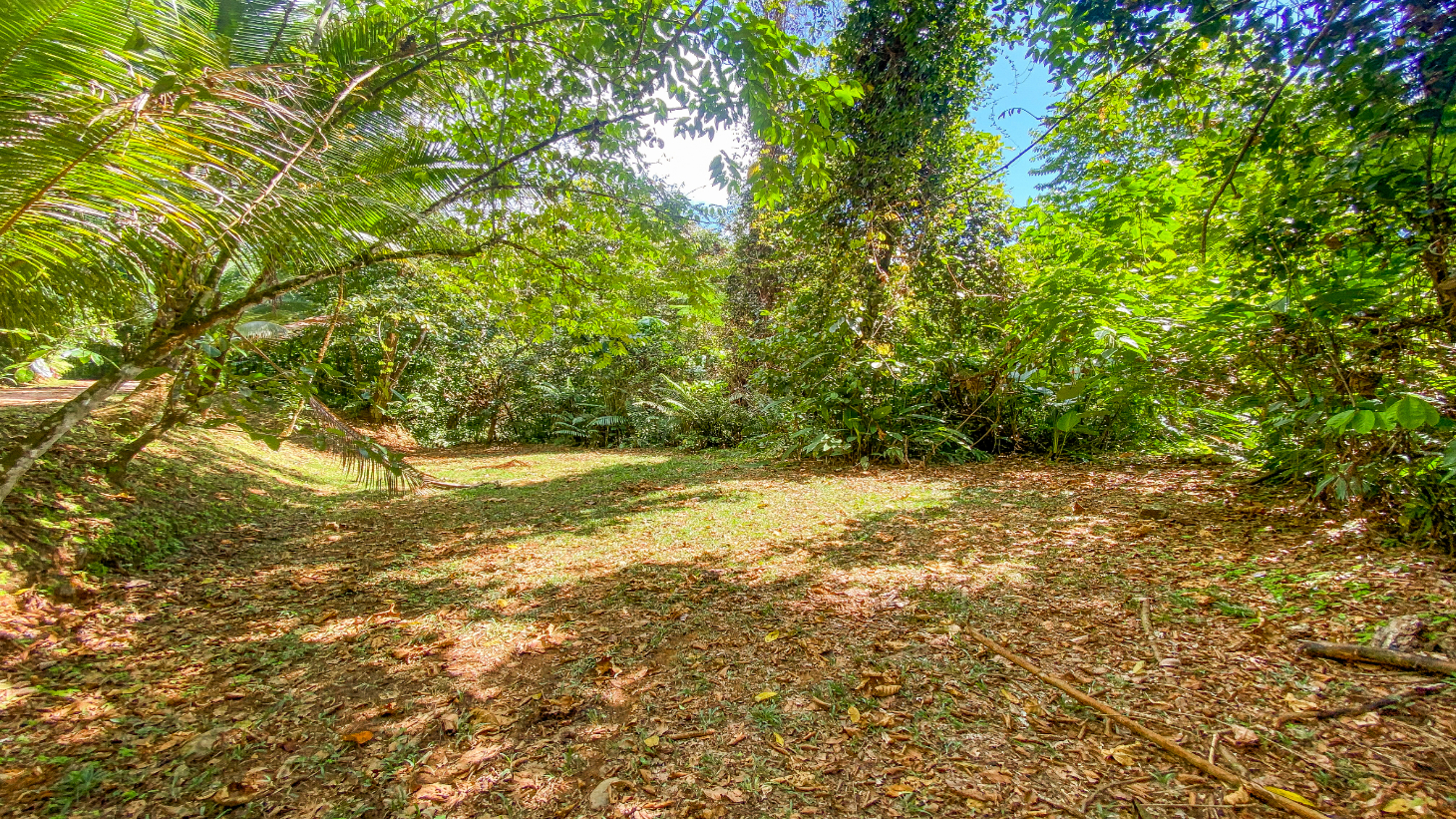 3 Bedroom Rainforest Home in Ojochal With River & Waterfall | 3.5 Acres Private selected