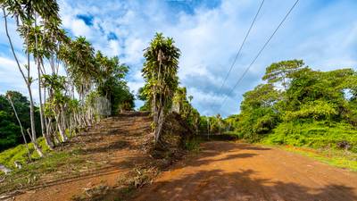 Ocean View Development Property with Waterfall Vista — 14.83 Acres in San Luis de Morete, Near Uvita image 4