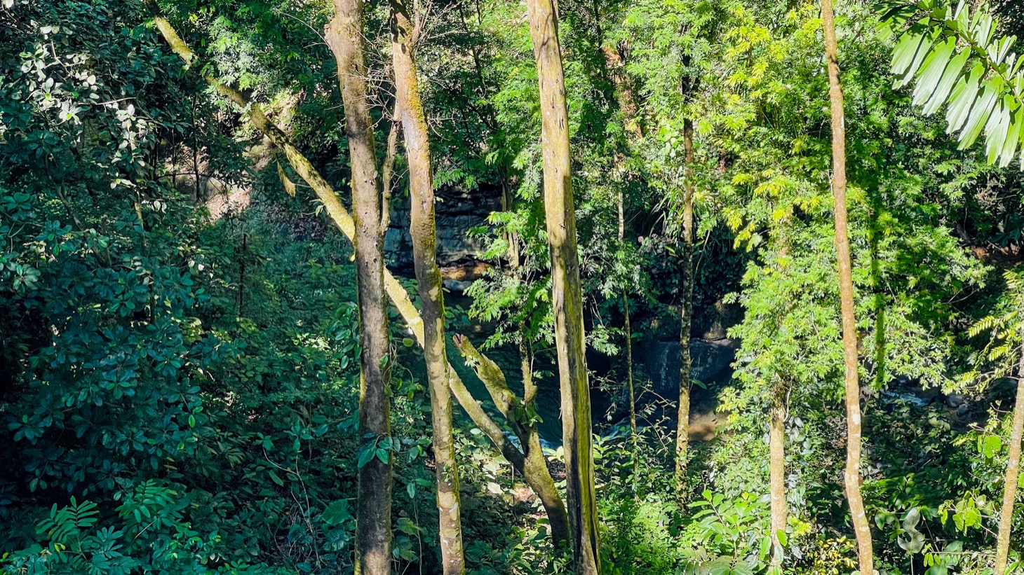 Nature Retreat Estate – Southern Pacific Zone, Costa Rica selected