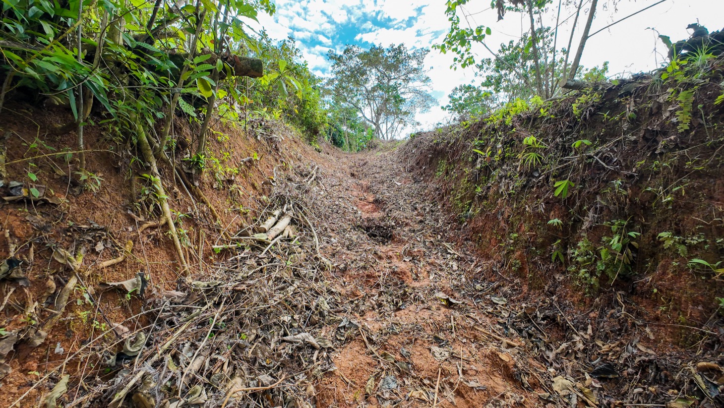 Prime Investment Opportunity in Ojochal – Two Properties, Endless Possibilities selected