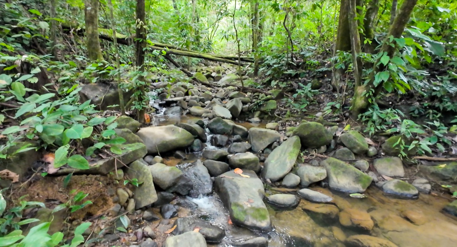 Stunning 16 acre Ocean View Property San Buenas, Costa Rica  selected