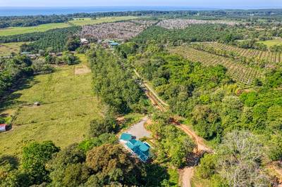 Casa del Bosque — A Modern Jungle Retreat in the New Tulpá Ridge Community, Matapalo image 2